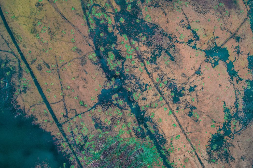 landcover-raster-gis-congo